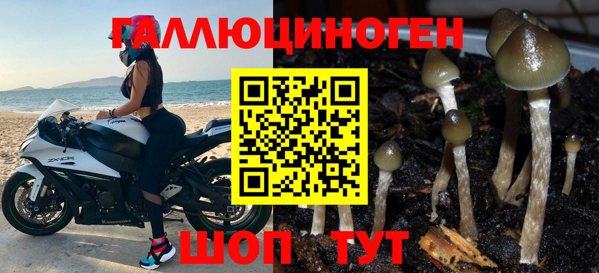 Галлюциногенные грибы Magic Shrooms Артёмовский